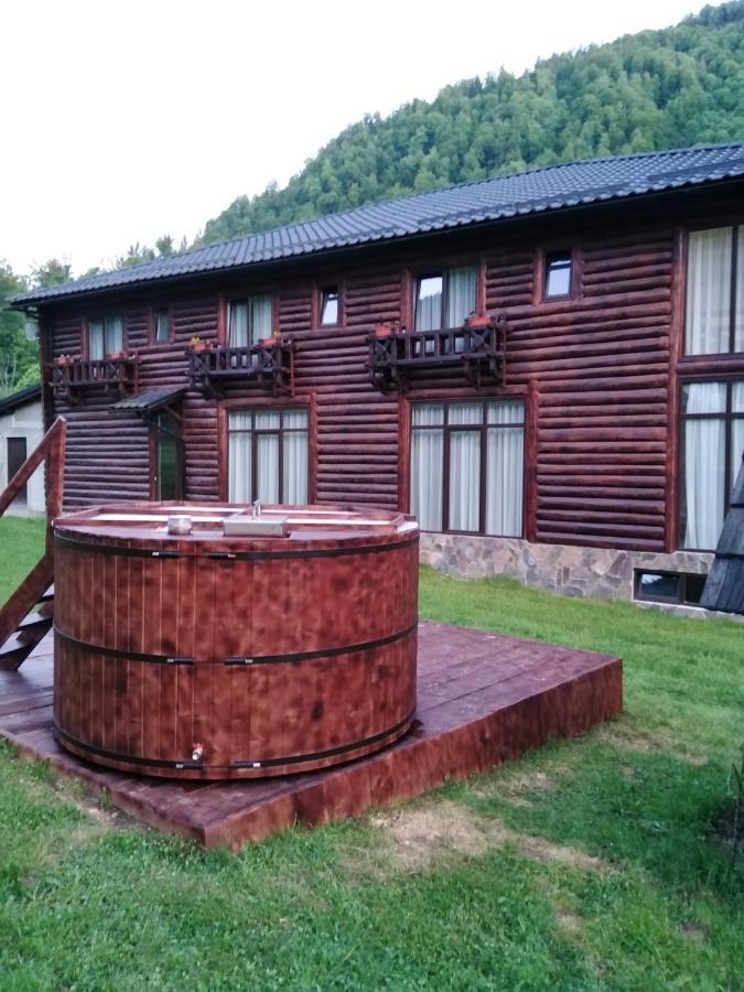 Pensiunea Roxana Valea Viseului Buitenkant foto