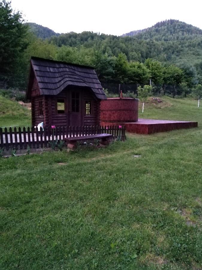 Pensiunea Roxana Valea Viseului Buitenkant foto