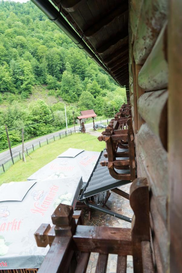 Pensiunea Roxana Valea Viseului Buitenkant foto
